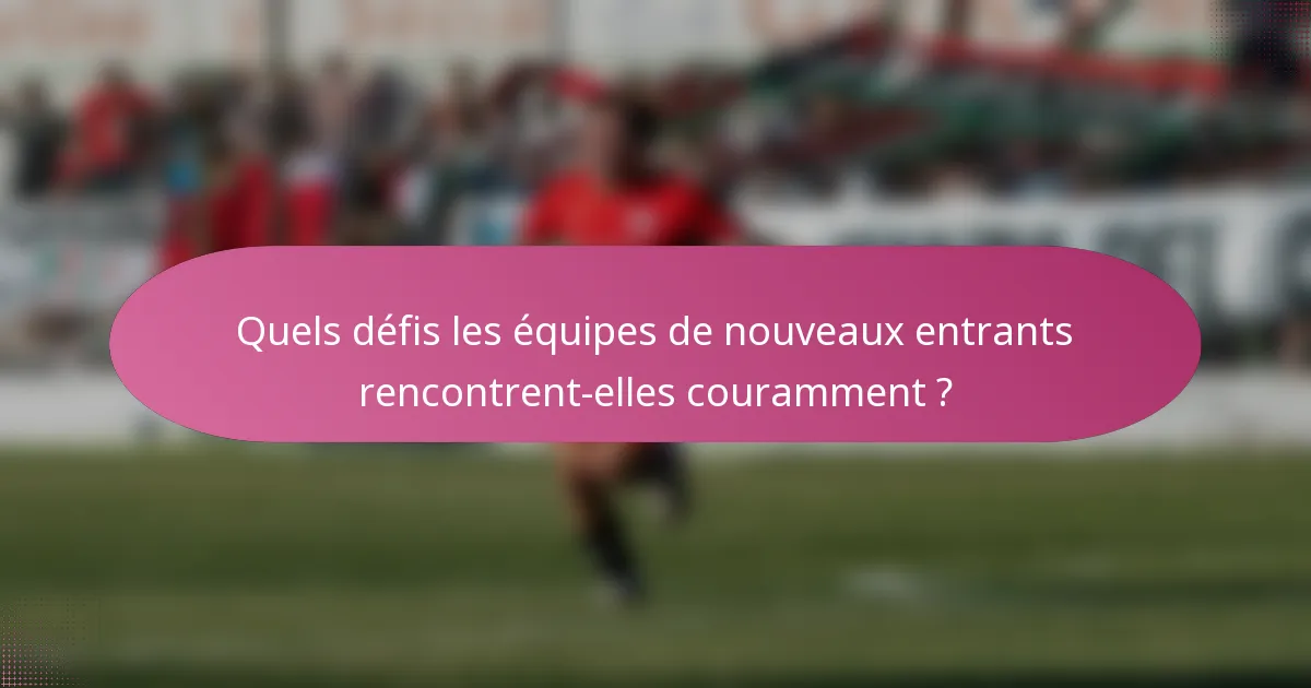 Quels défis les équipes de nouveaux entrants rencontrent-elles couramment ?